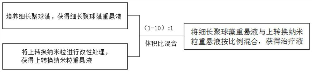 A therapeutic liquid for treating ischemic stroke, its preparation method and application