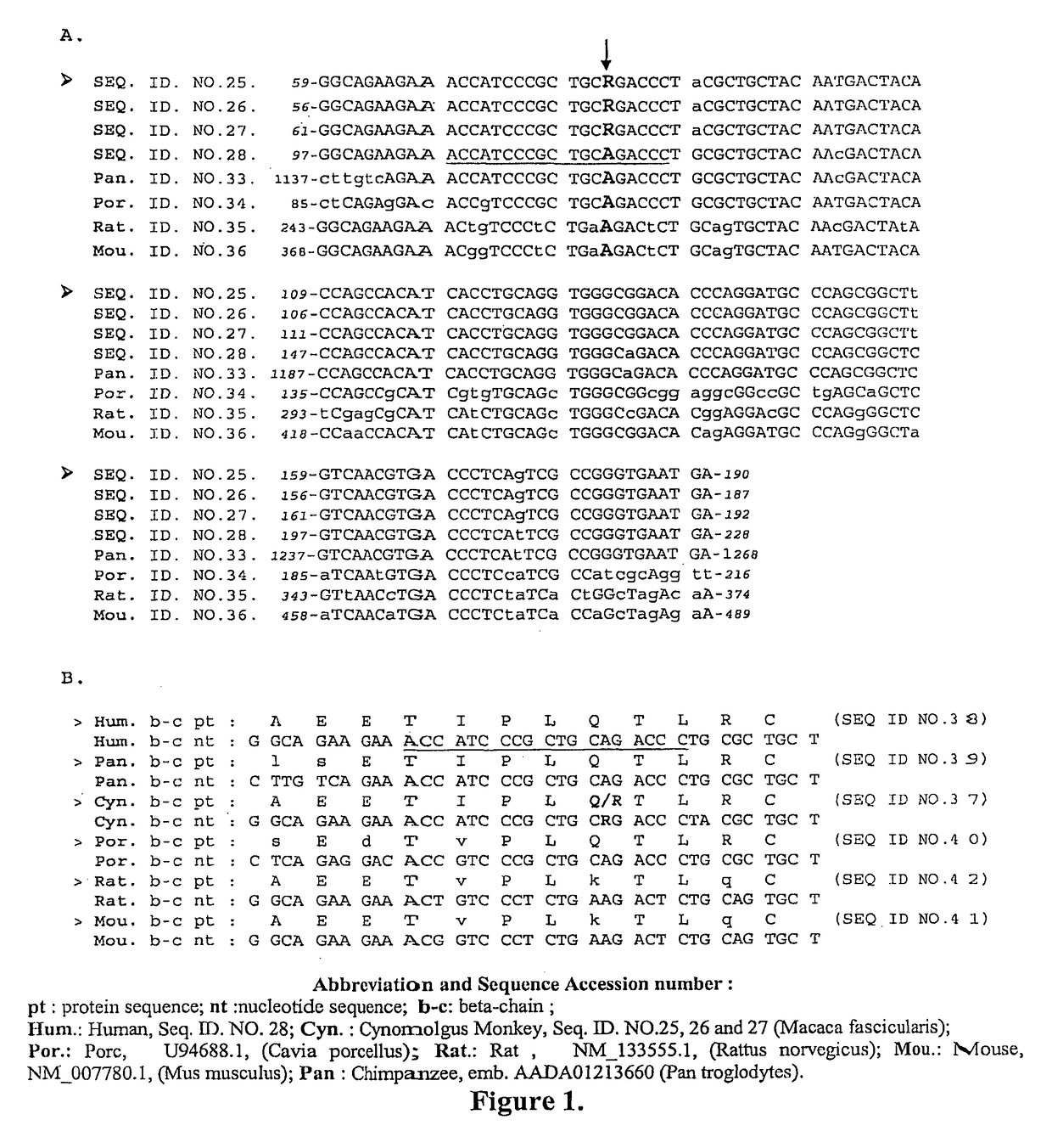 Antisense oligonucleotides for treating allergy and neoplastic cell proliferation