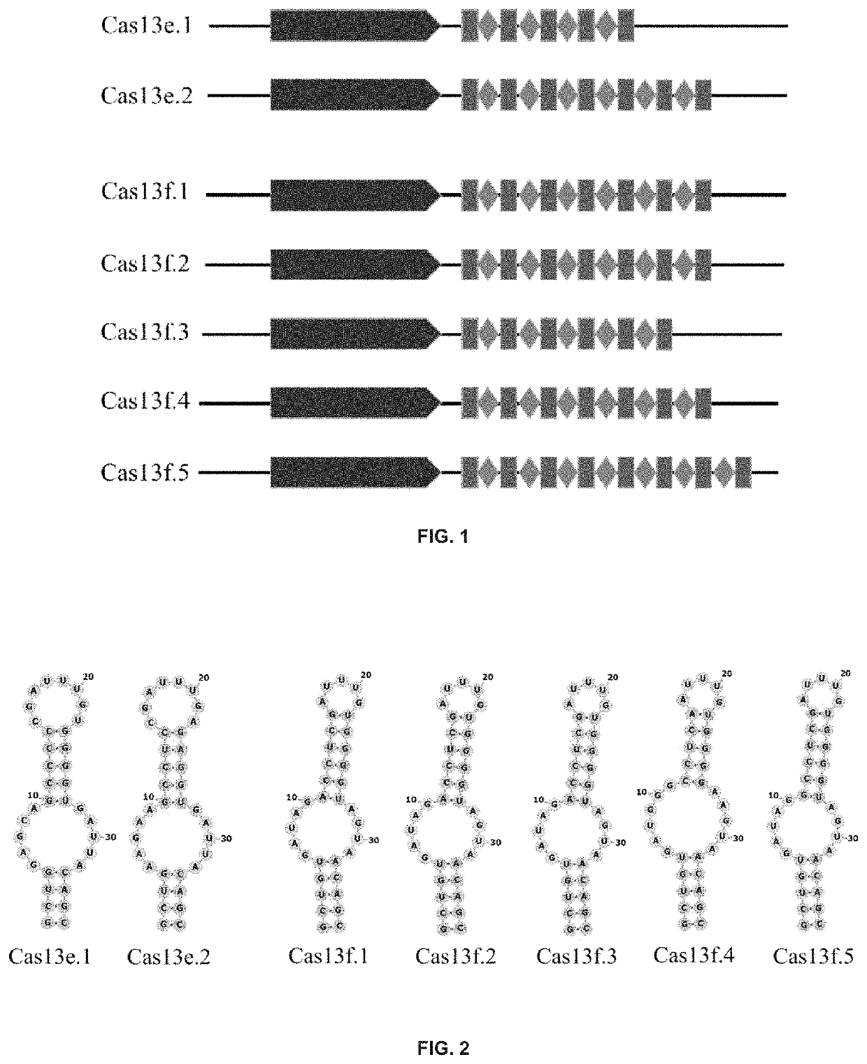 Type VI-E and type VI-F CRISPR-Cas system and uses thereof