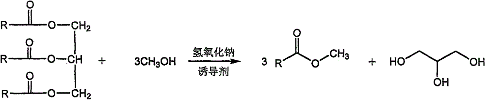 Method for synthesizing biodiesel in field-induced low eutectic system