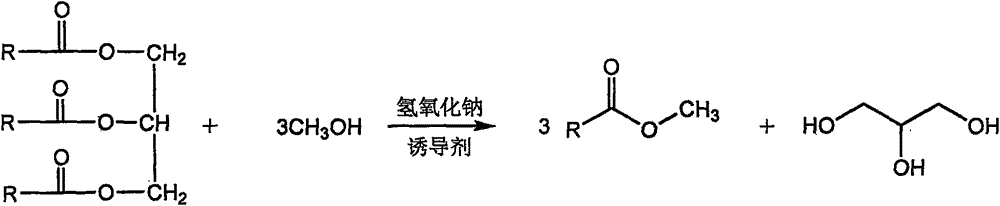 Method for synthesizing biodiesel in field-induced low eutectic system