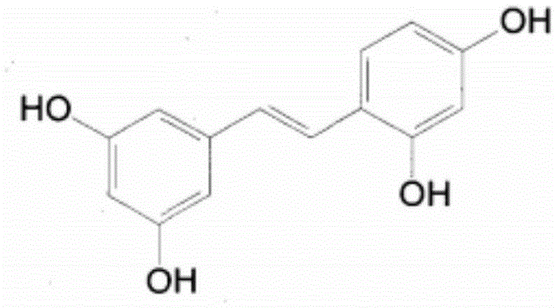 Oxyresveratrol synthesis method