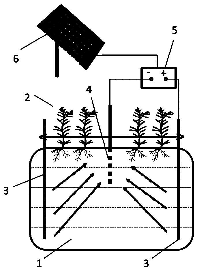 Method and structure for remediating cadmium-contaminated soil through combination of sulfur, two-dimensional electric field and plants