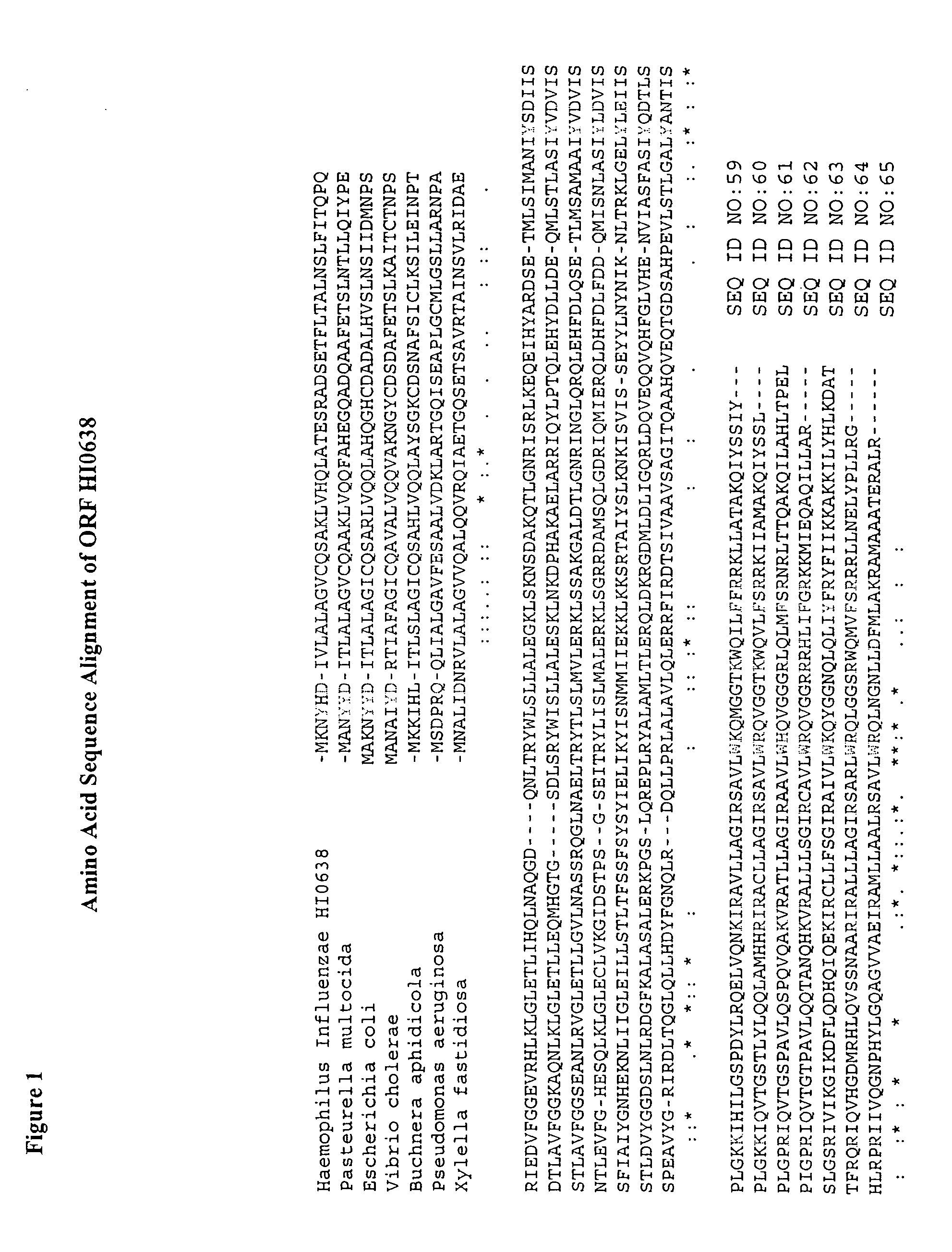 Compositions capable of facilitating penetration across a biological barrier