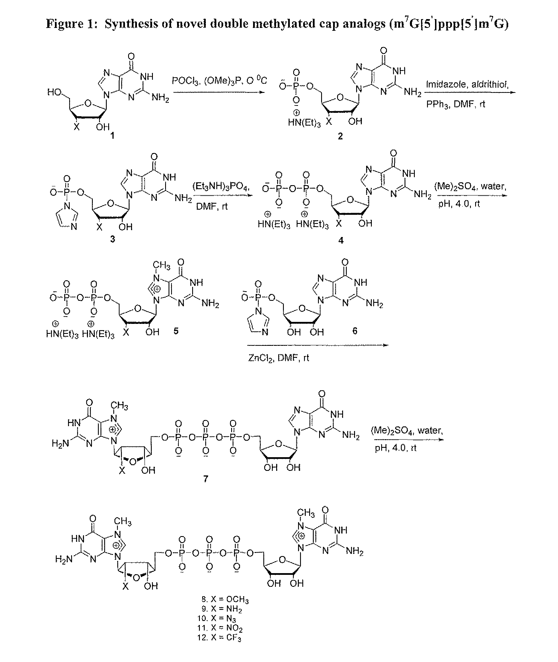 Dinucleotide MRNA cap analogs