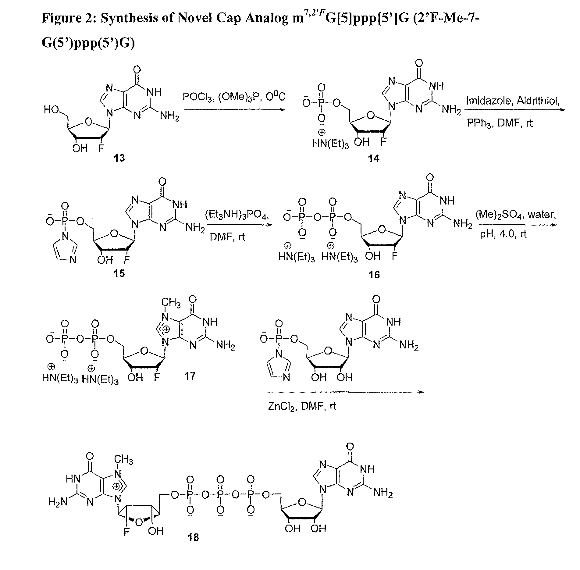 Dinucleotide MRNA cap analogs