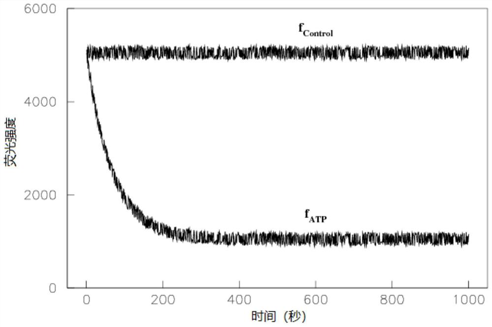 Detection method of motor protein activity