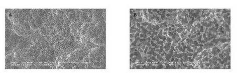 Method for preparing two-stage micron-submicron microstructure on surface of titanium alloy dental implant