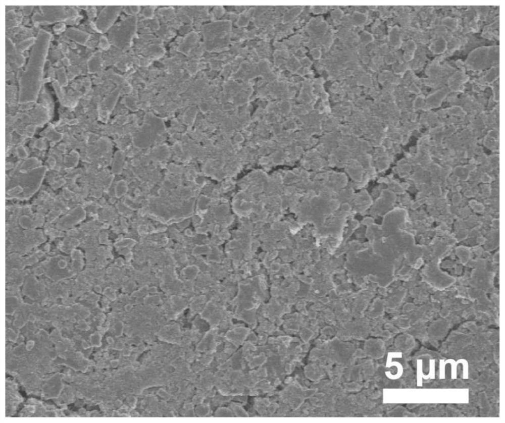 Lithium metal battery diaphragm, preparation method thereof and lithium ...