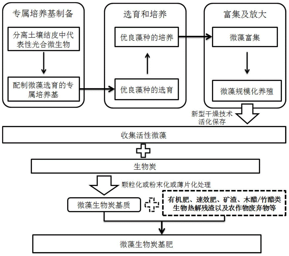 Micro algae-biochar composite bio-fertilizer and preparation method thereof