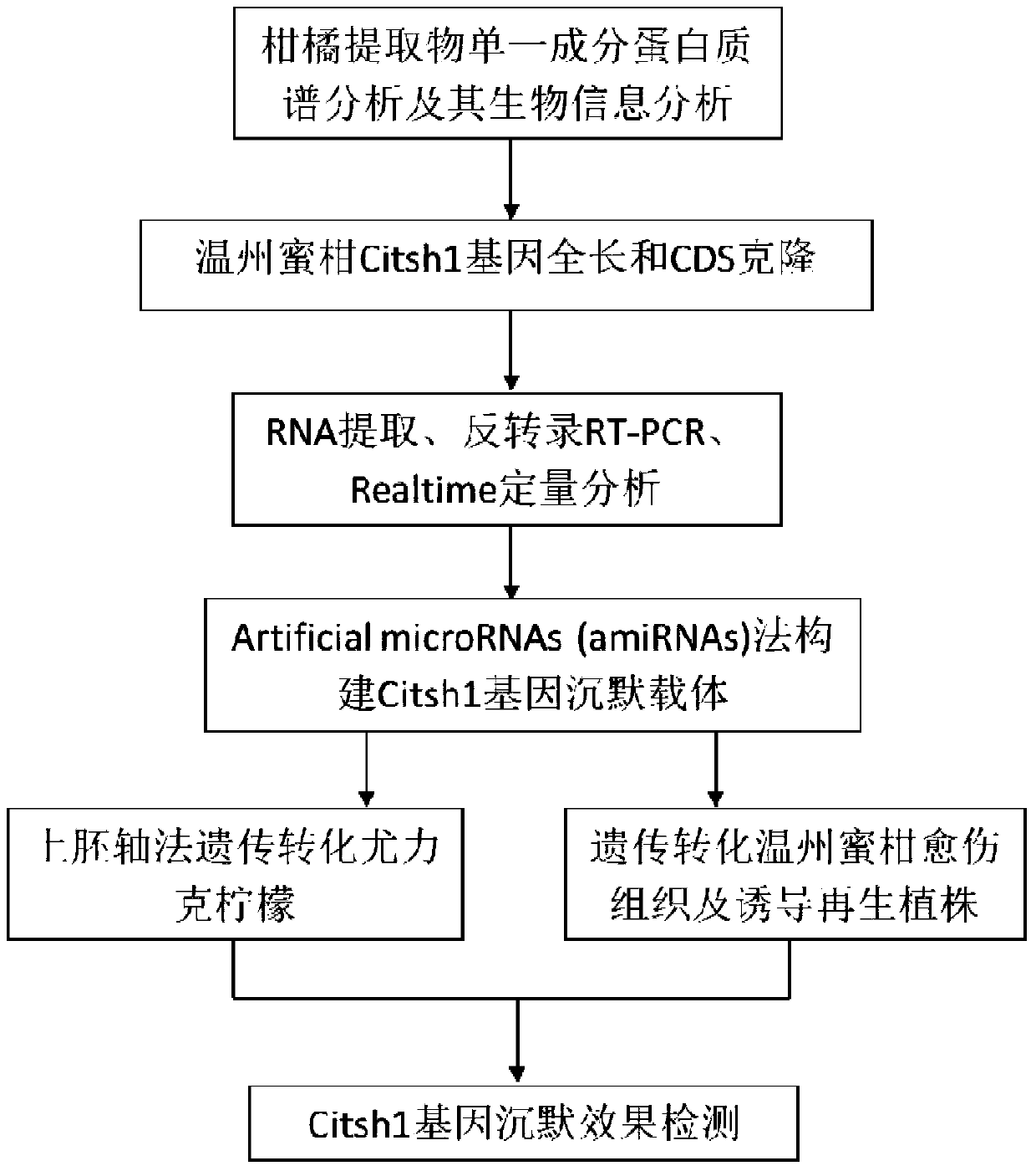 Genes of Rutaceae plants that cause human body to get angry and its application