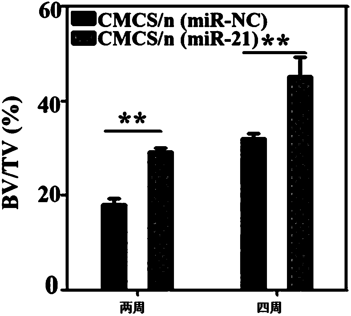 microRNA nanometer microcapsule-bone meal composite material and preparation method thereof