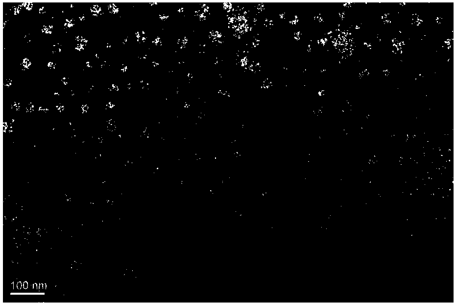 microRNA nanometer microcapsule-bone meal composite material and preparation method thereof