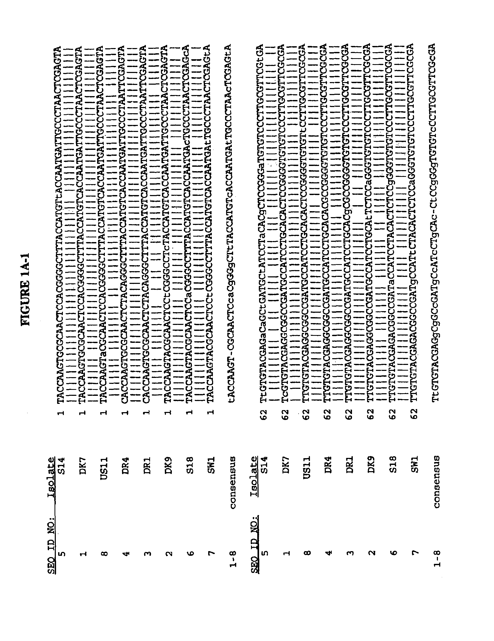 Nucleotide and deduced amino acid sequences of the envelope 1 and core genes of isolates of hepatitis C virus and the use of reagents derived from these sequences in diagnostic methods and vaccines