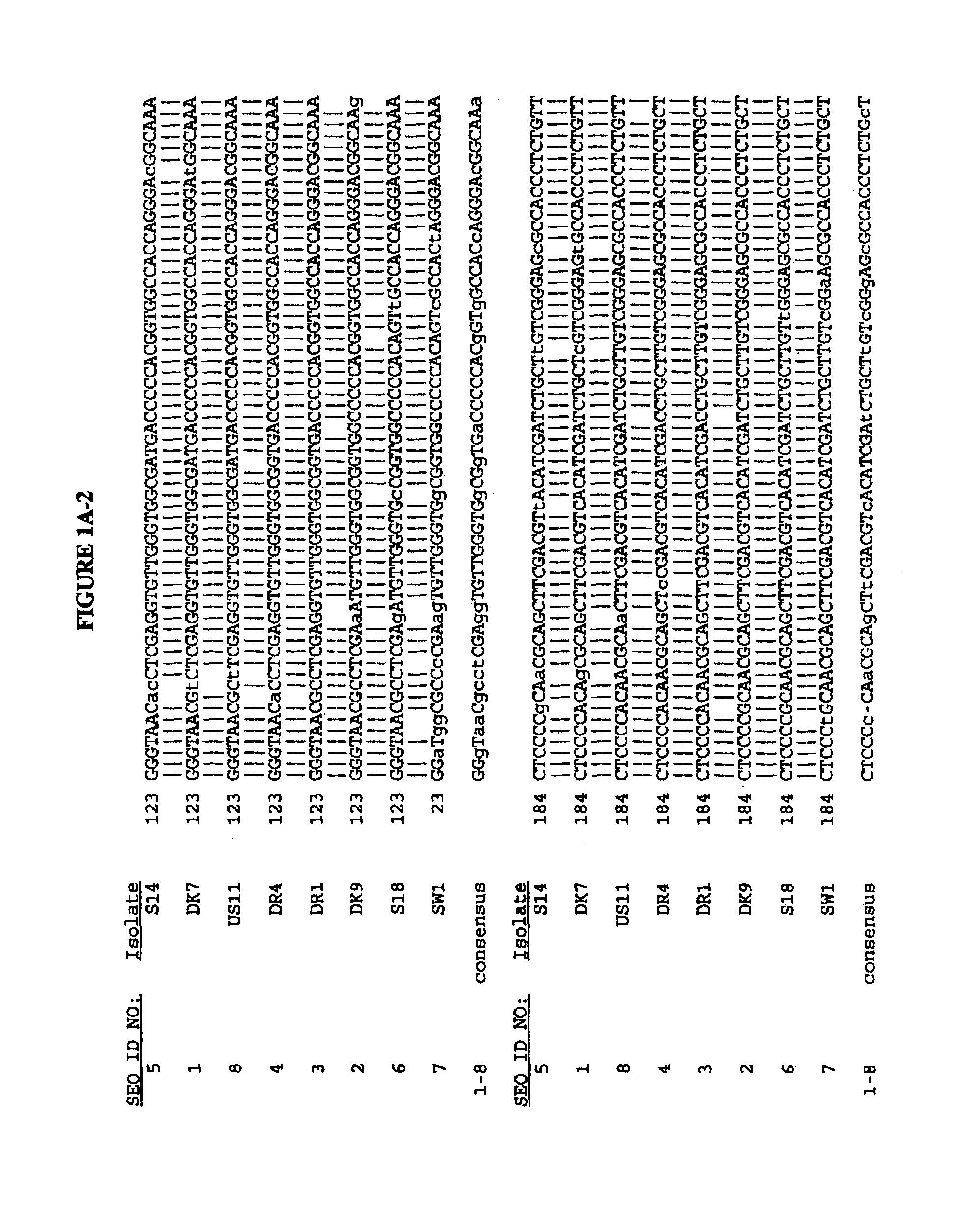 Nucleotide and deduced amino acid sequences of the envelope 1 and core genes of isolates of hepatitis C virus and the use of reagents derived from these sequences in diagnostic methods and vaccines