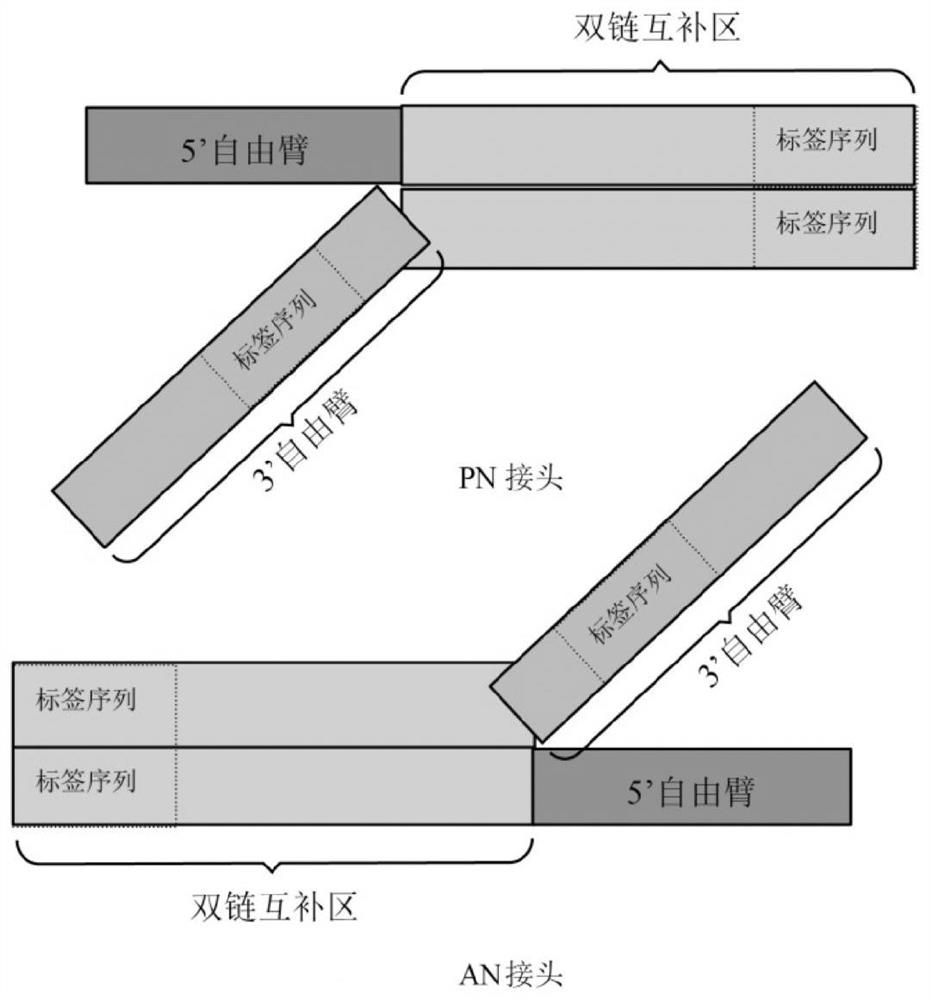 Construction method of universal gene detection library for hereditary familial hypercholesterolemia and kit of construction method