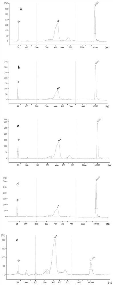 Construction method of universal gene detection library for hereditary familial hypercholesterolemia and kit of construction method