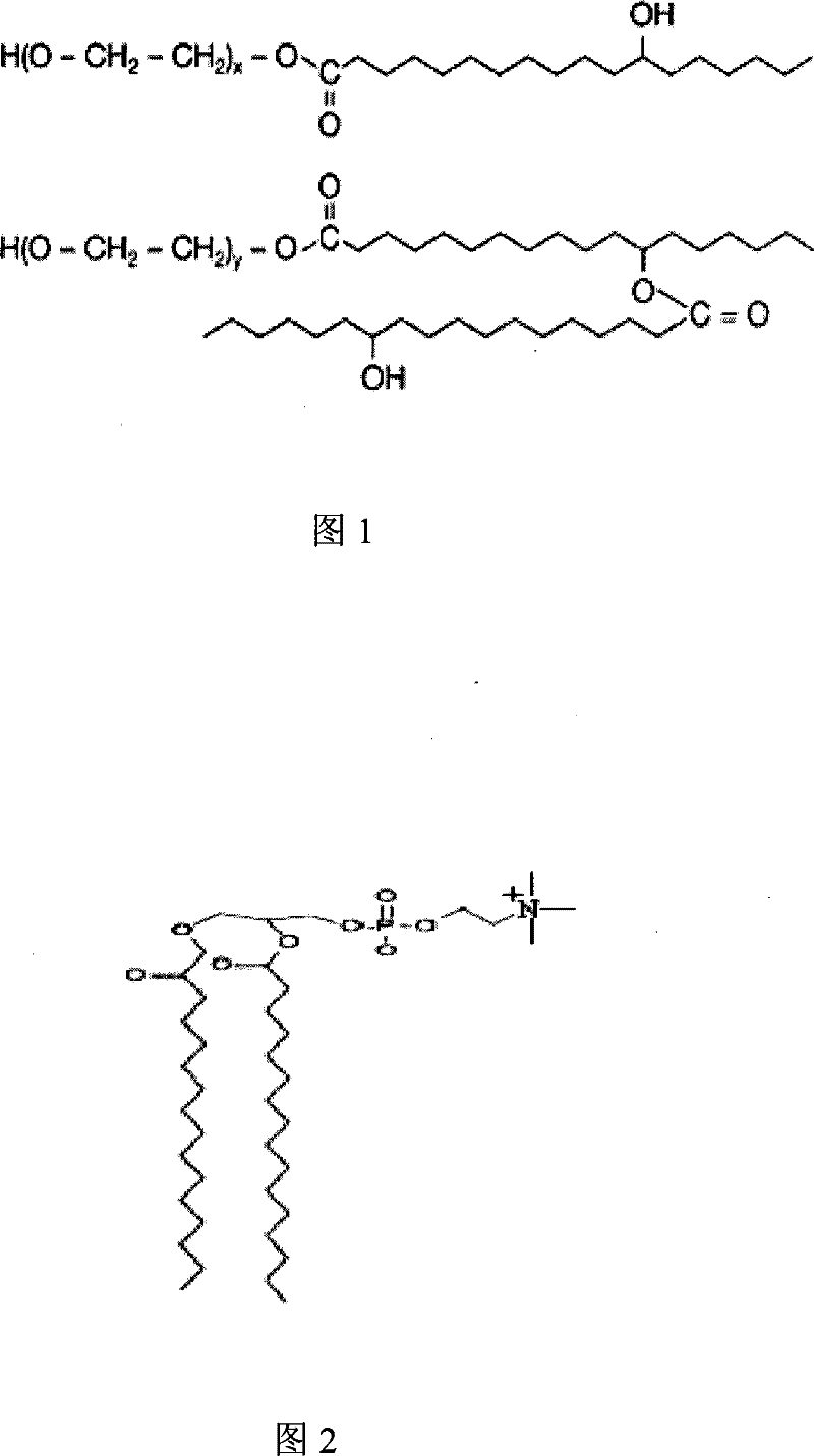 Mixed glue bundle pharmaceutical preparations produced in combination use of multiple surfactant and processes for their preparation