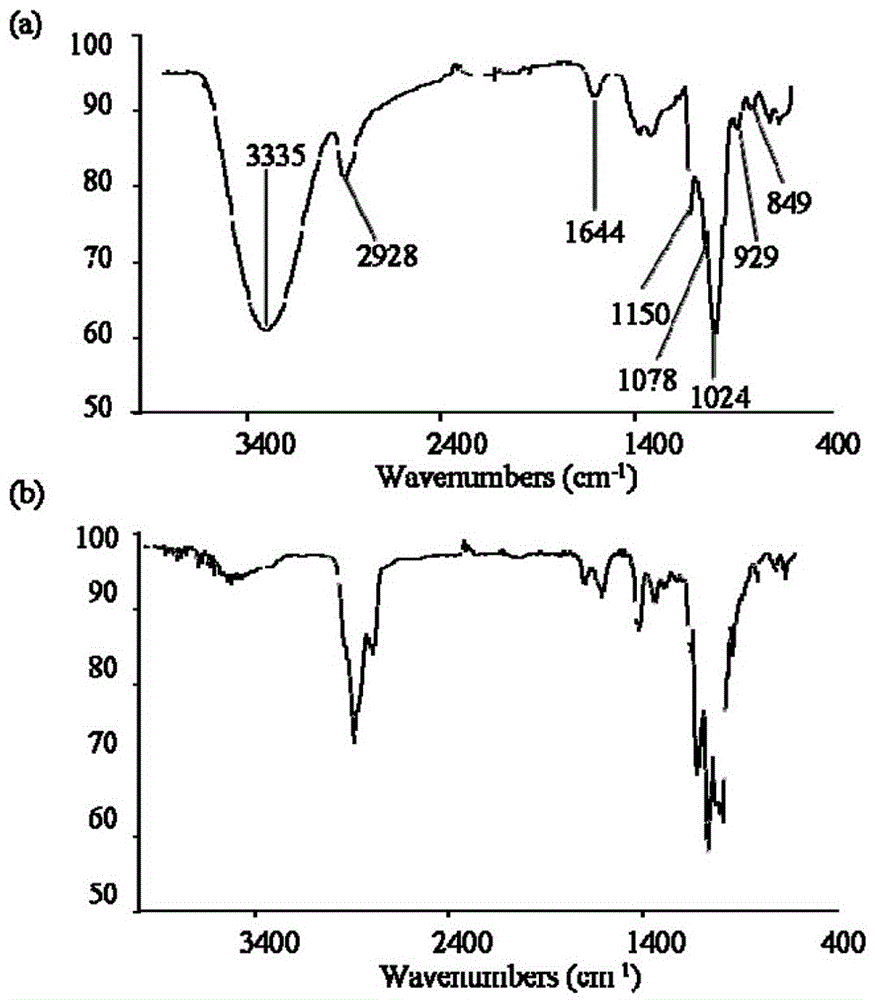 Abalone muscle polysaccharose and preparation method and application thereof