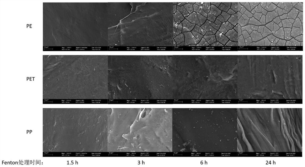 Farmland soil micro-plastic detection method