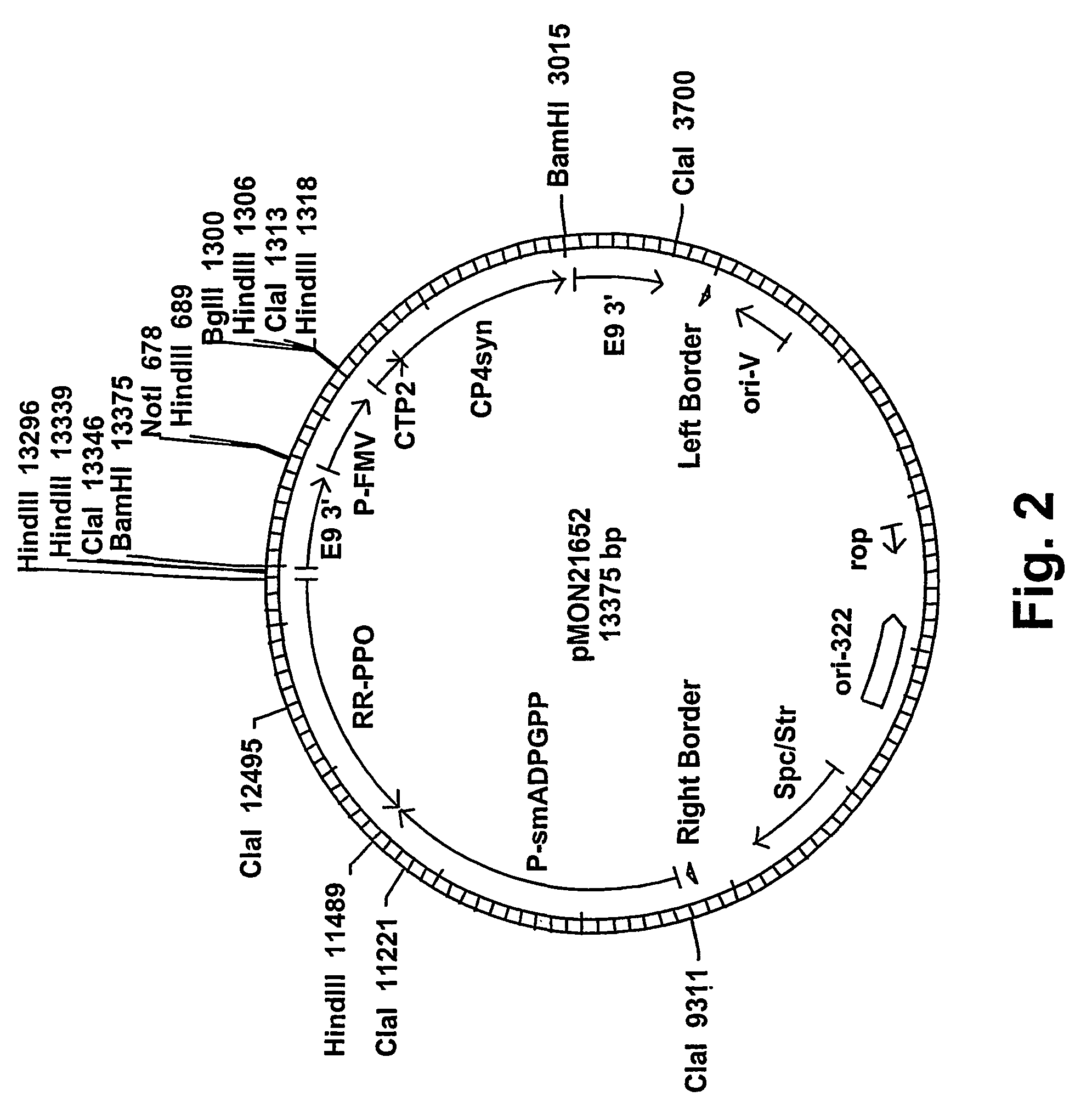 Method of imparting disease resistance to plants by reducing polyphenol oxidase activities