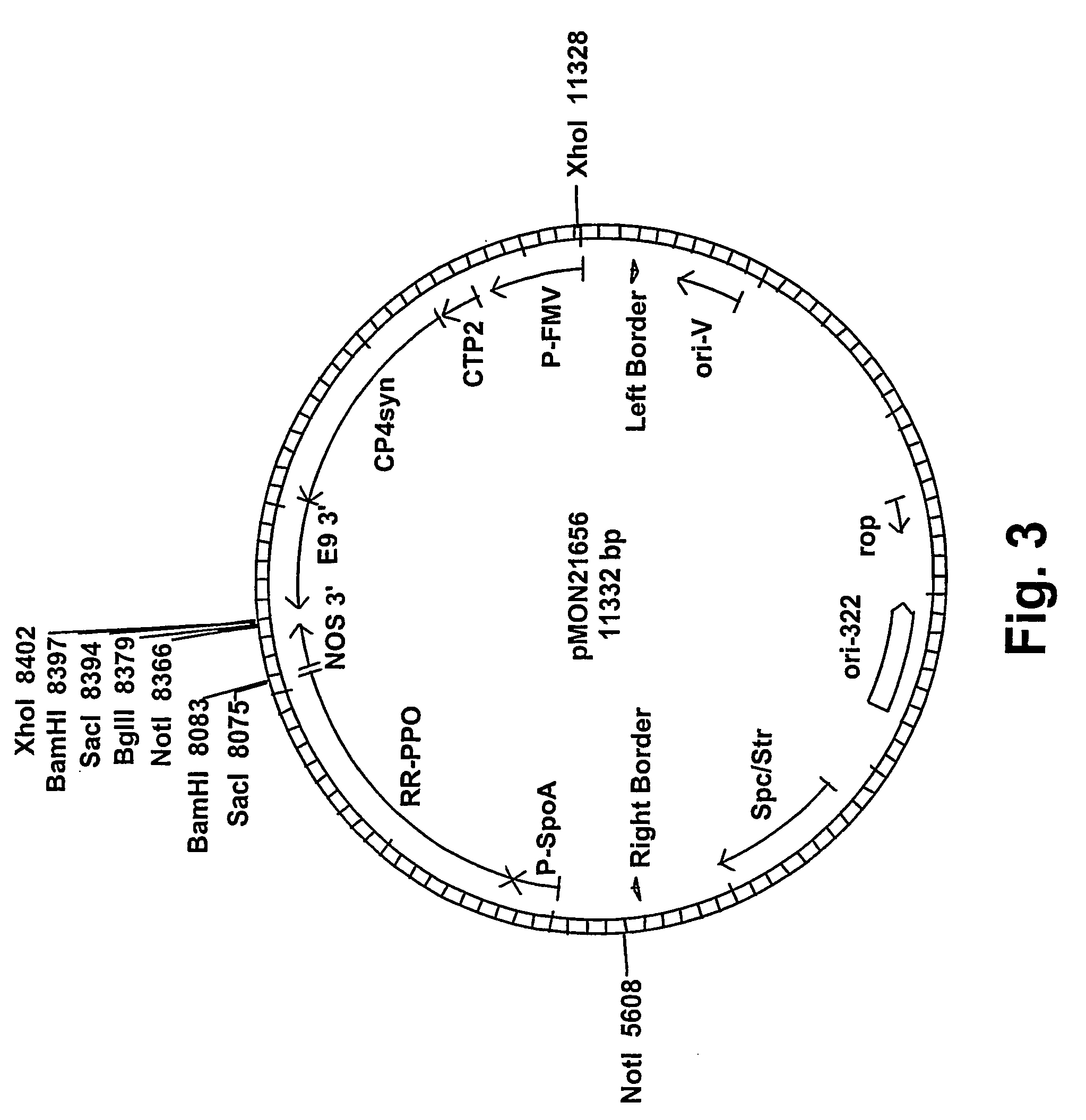 Method of imparting disease resistance to plants by reducing polyphenol oxidase activities
