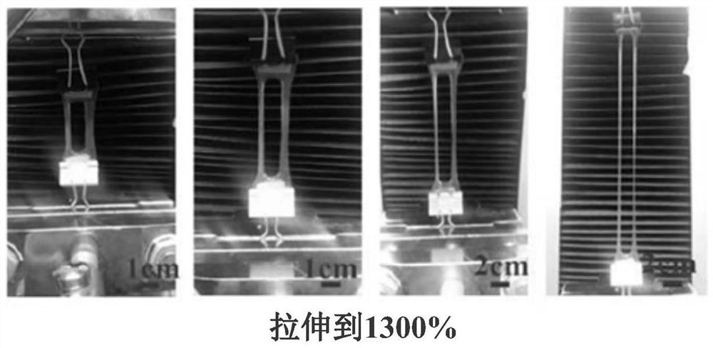 Autonomous self-healing elastomer with high tensile properties and its preparation method and application