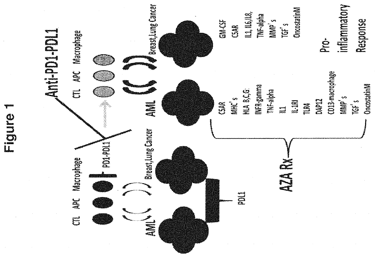 Cancer therapy via a combination of epigenetic modulation and immune modulation