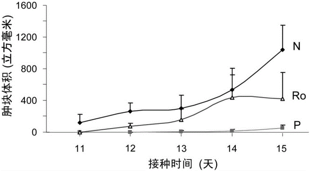 Application of ginsenoside Ro in preparation of antitumor drugs