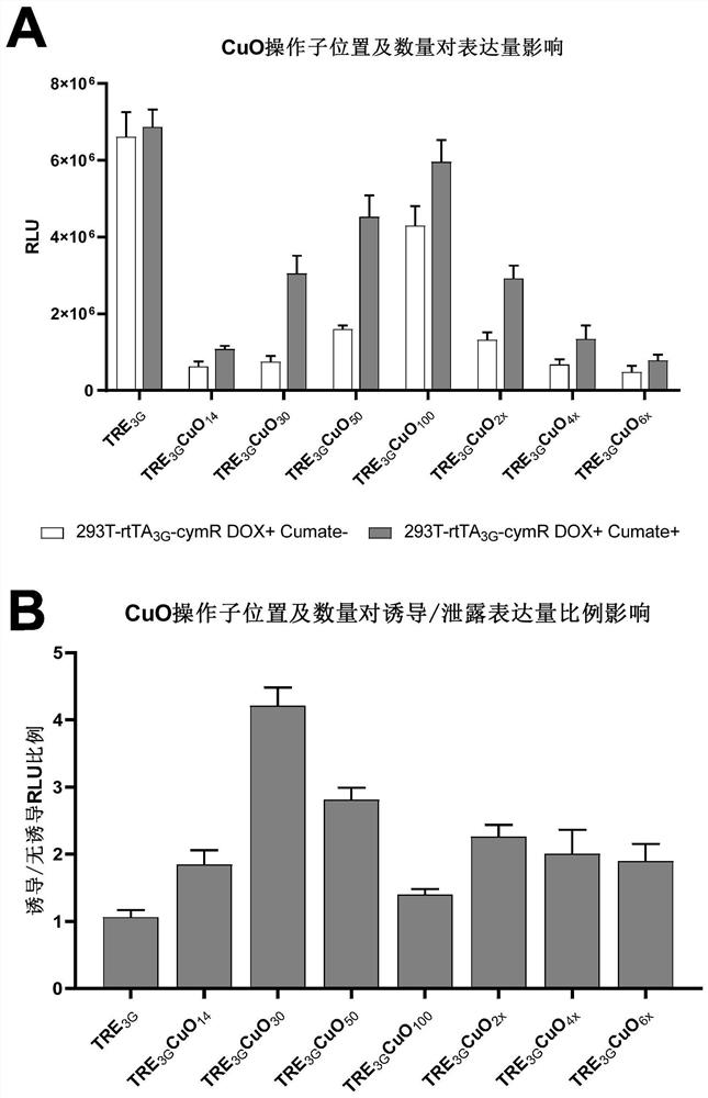 Co-regulatory sequence based on tetracycline and Cumate