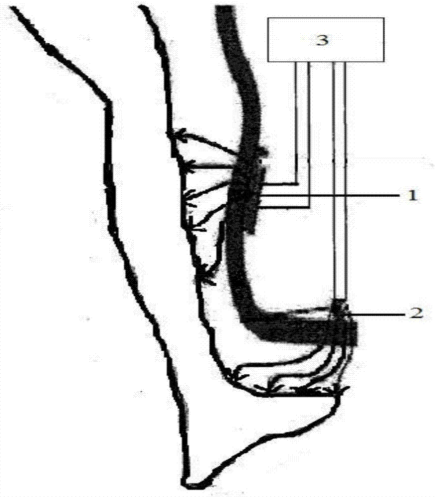 Novel microwave-induced automatic switch for automobile trunk, and design method thereof