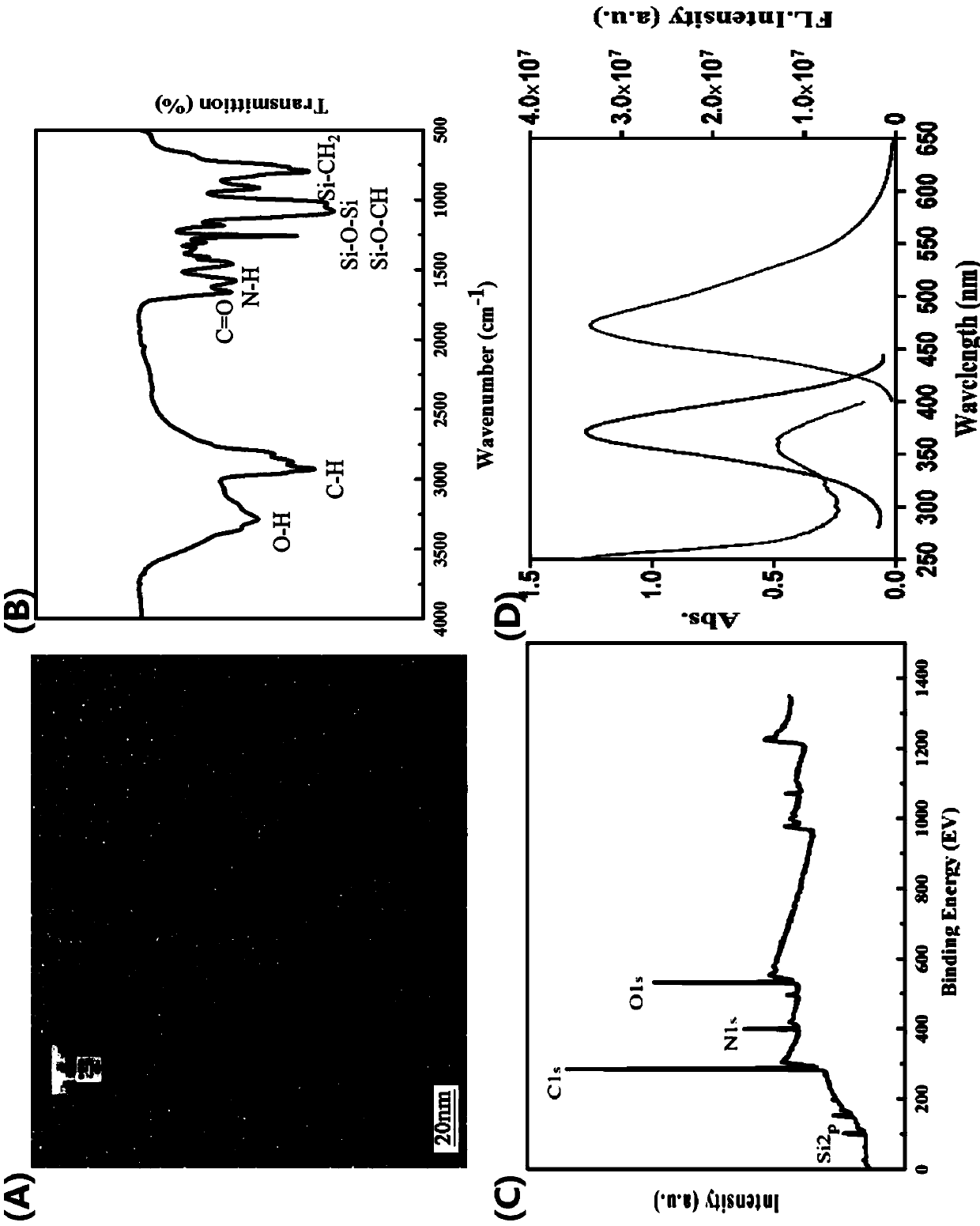 Ratio fluorescence analysis method for detecting mercury ions