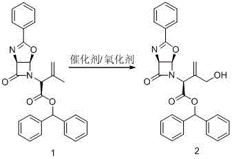 A kind of allyl position hydroxylation prepares the method for the key intermediate of oxycephem antibiotics