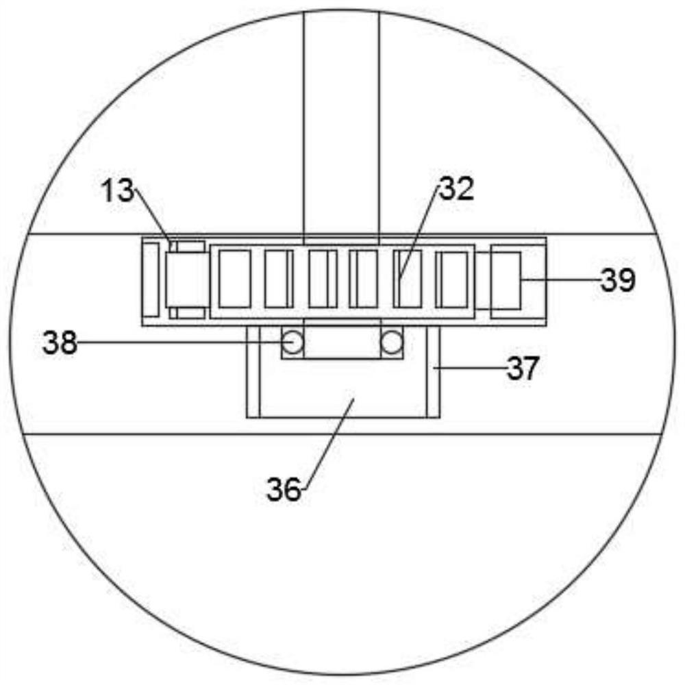 Squeezing device for blueberry processing