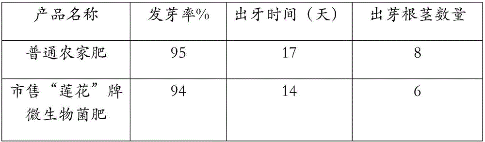 Corn or wheat straw converted organic bacterial manure and preparation method thereof