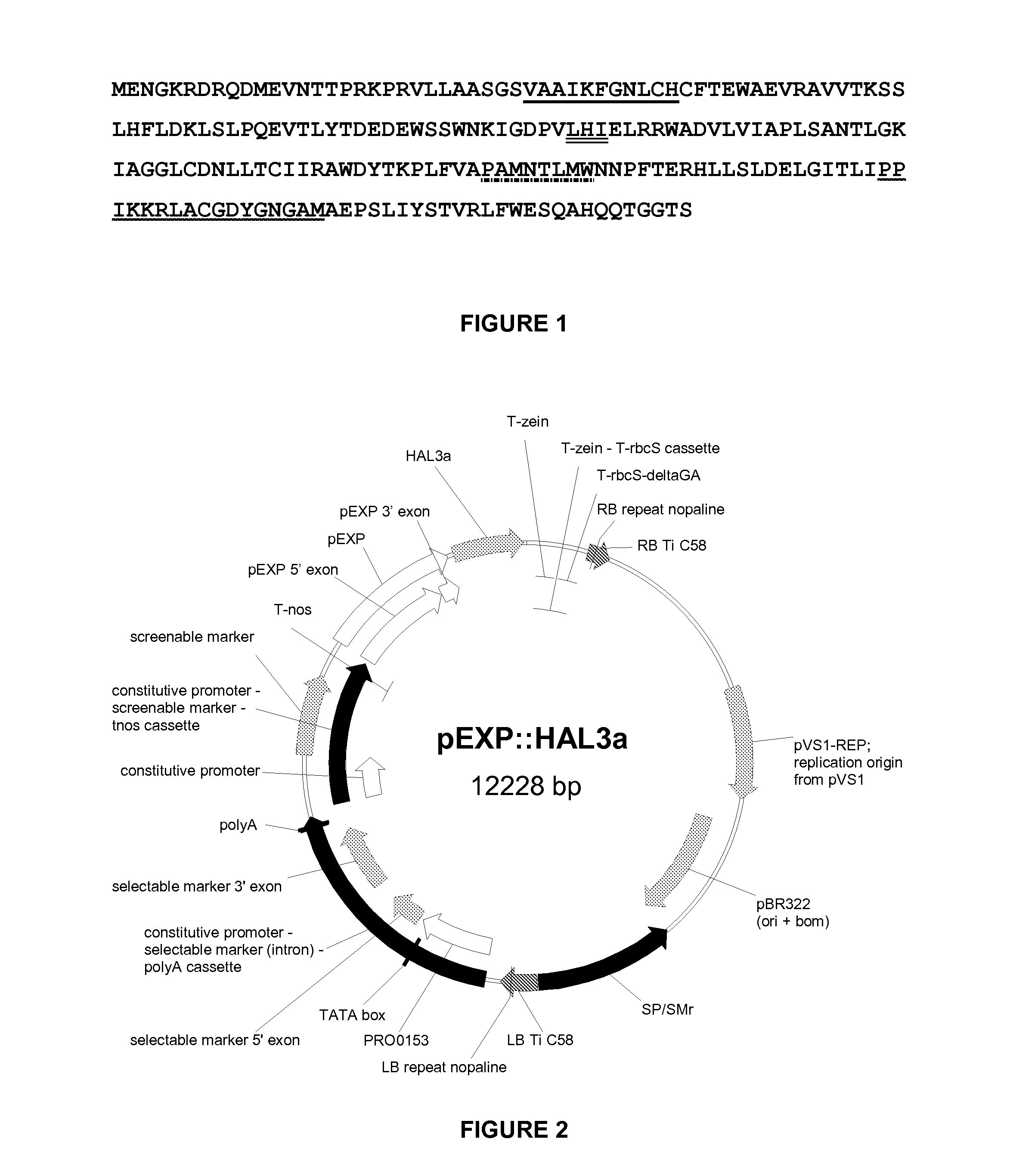 Plants Having Enhanced Yield-Related Traits and a Method for Making the Same