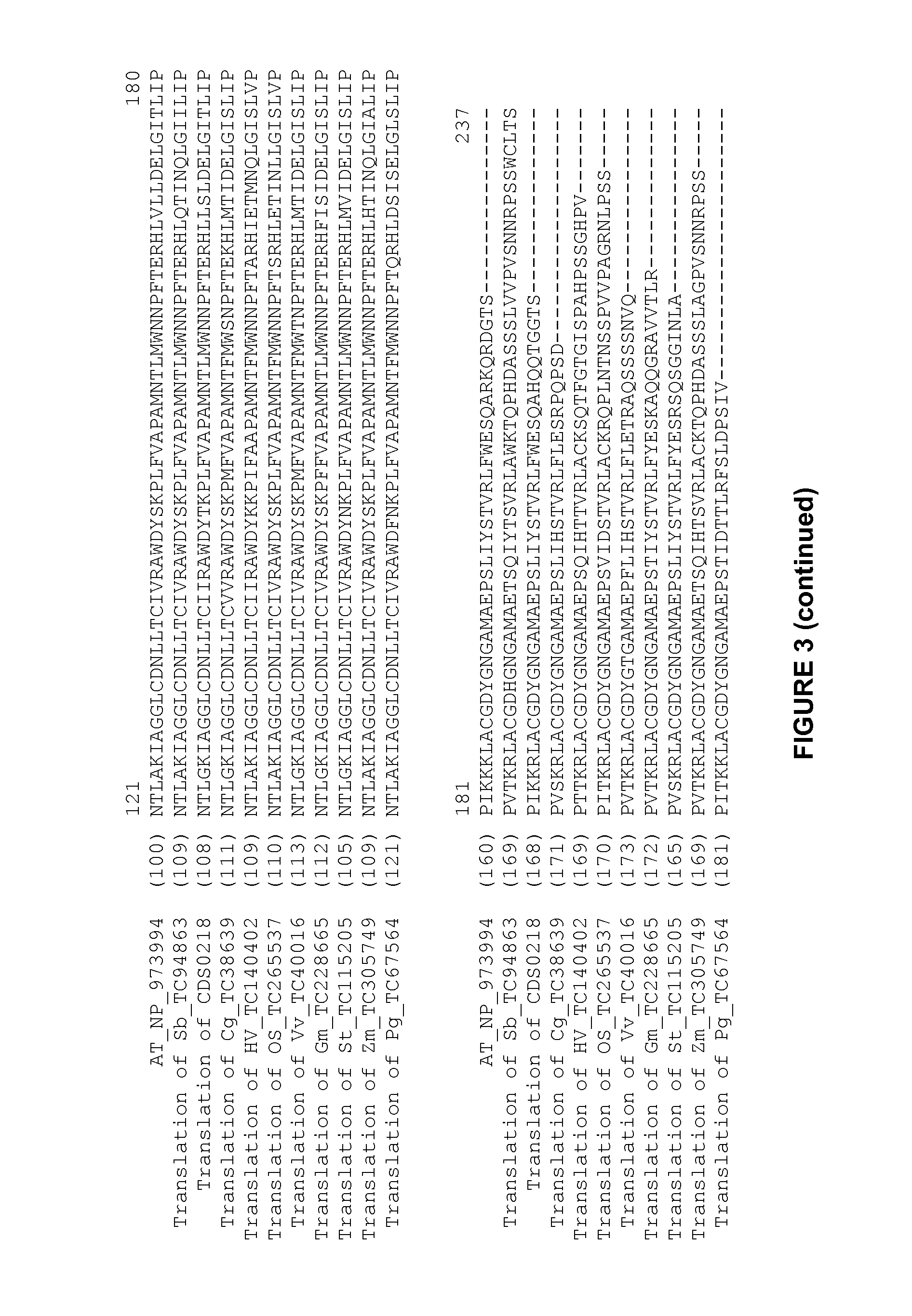 Plants Having Enhanced Yield-Related Traits and a Method for Making the Same