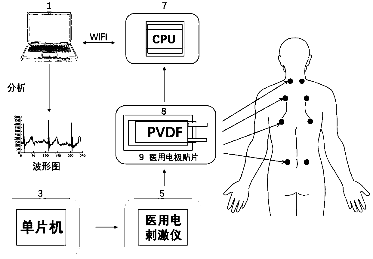 Attached trunk posture monitoring device and method