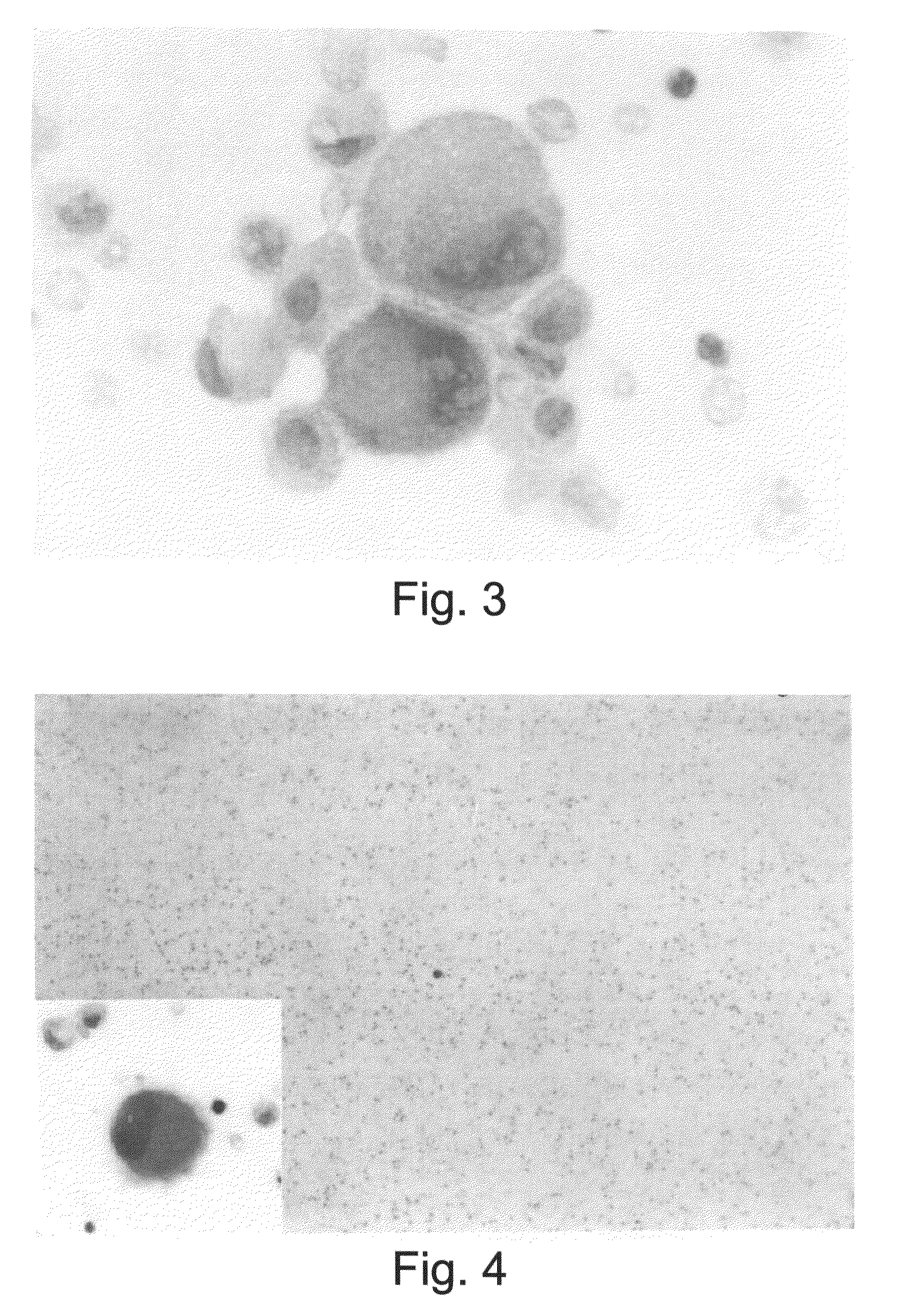 Methods and Compositions for Identifying a Cell Phenotype