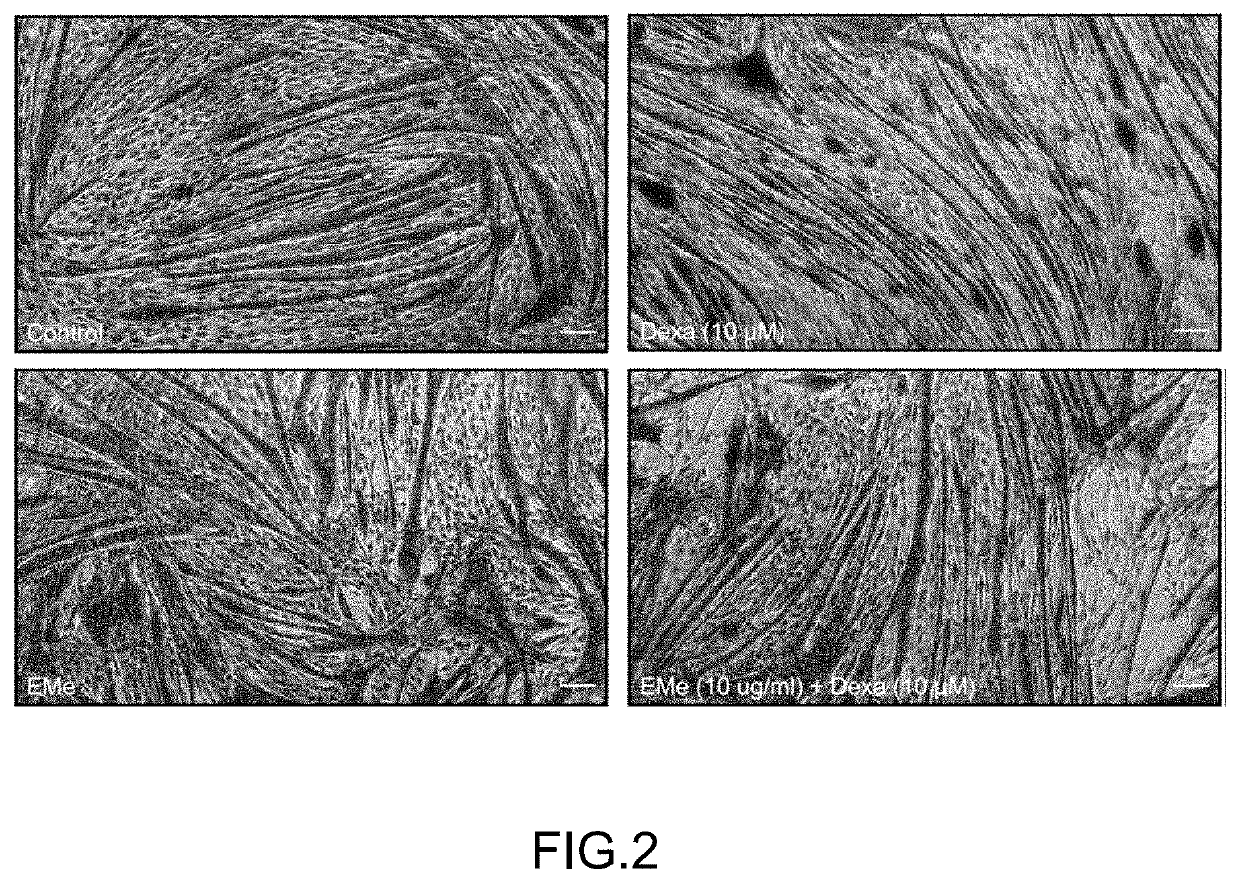 Use of morchella active substance