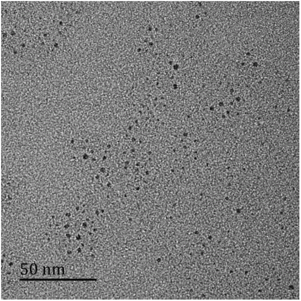 Preparation method for three-element copper-iron-sulfur (CuFeS2) fluorescent quantum dot with magnetic property by aqueous-phase synthesis