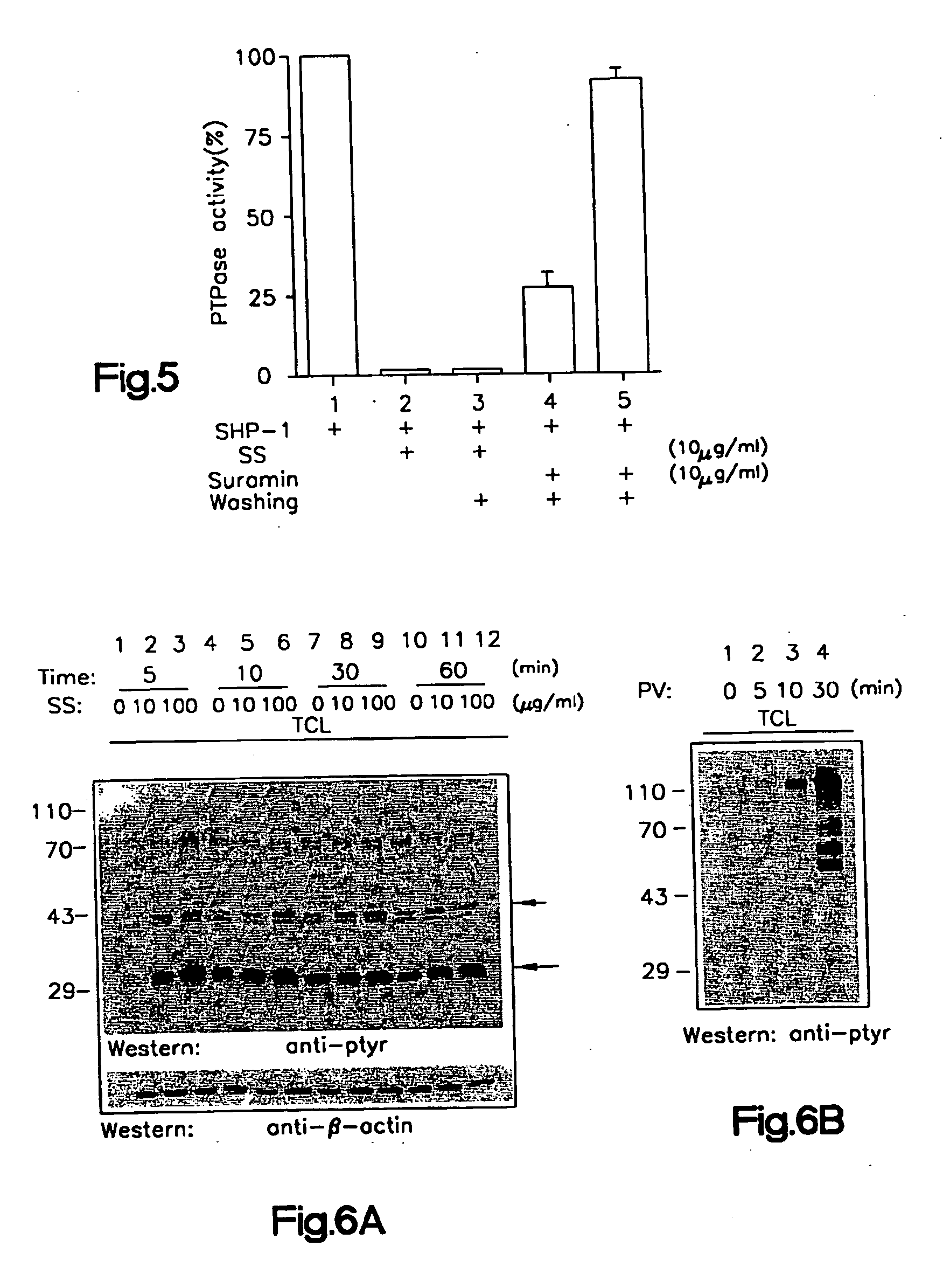 PTPase inhibitors and methods of using the same