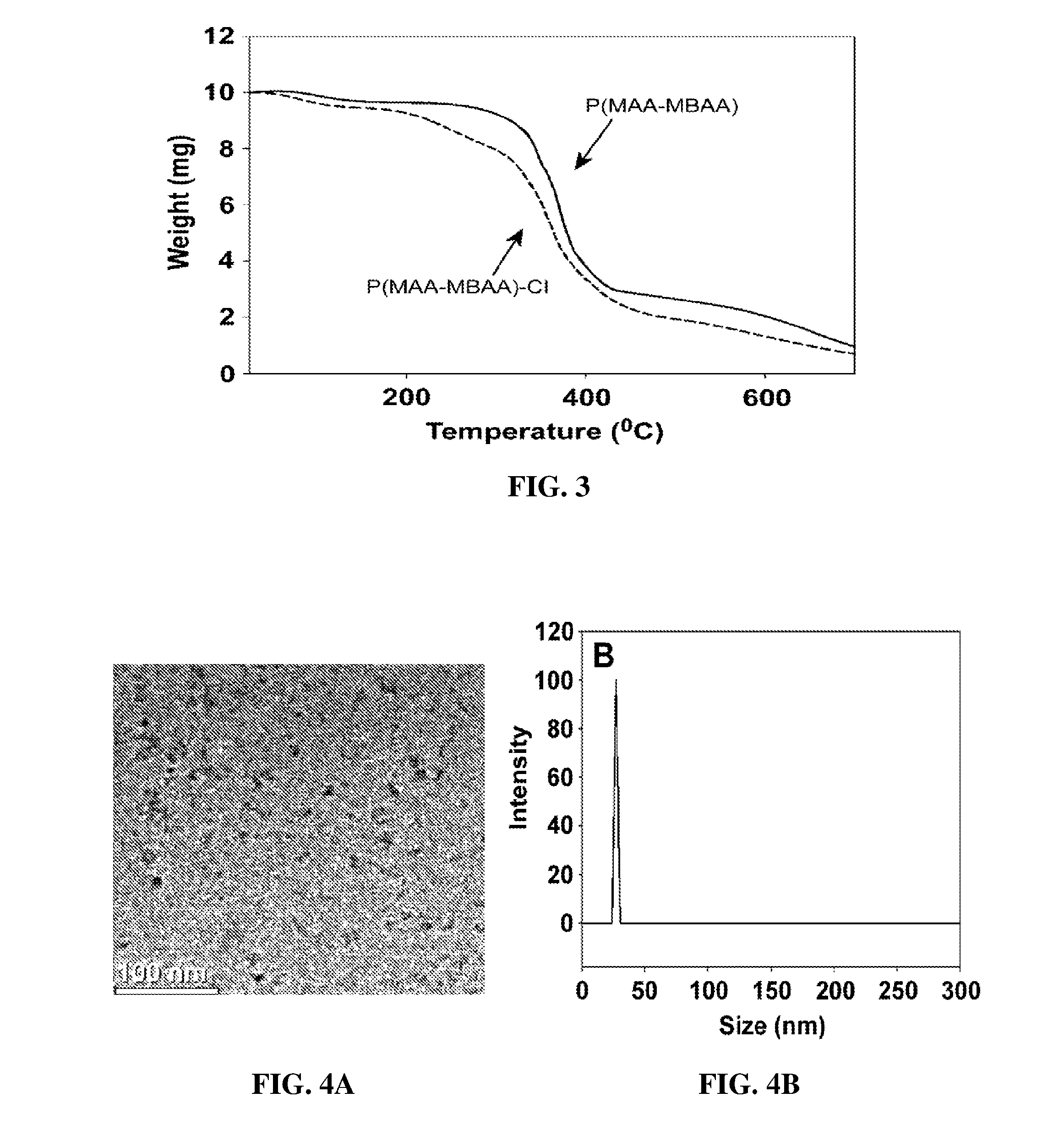 Polyamide nanoparticles and uses thereof