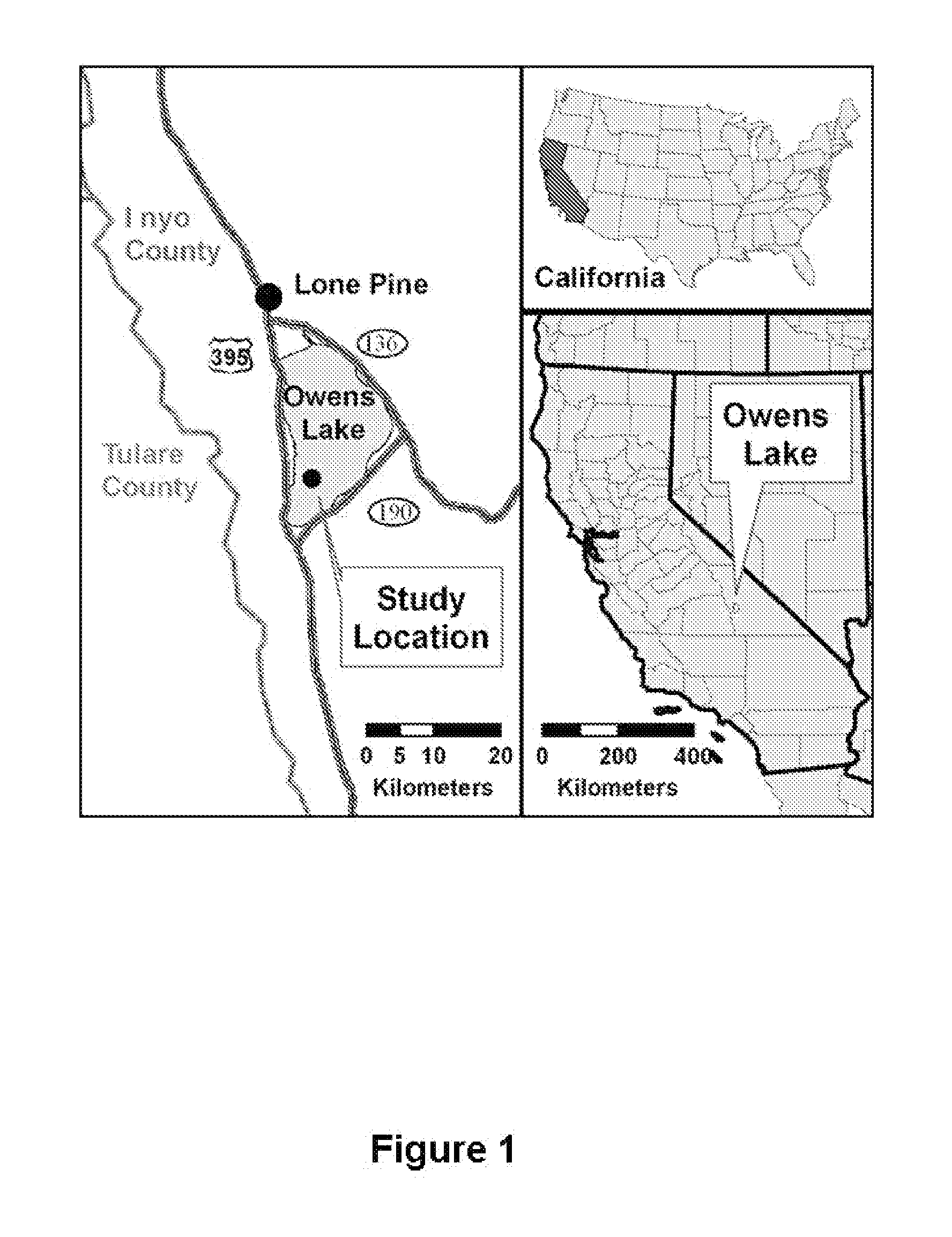 Methods for dust control on saline dry lakebeds using minimal water resources