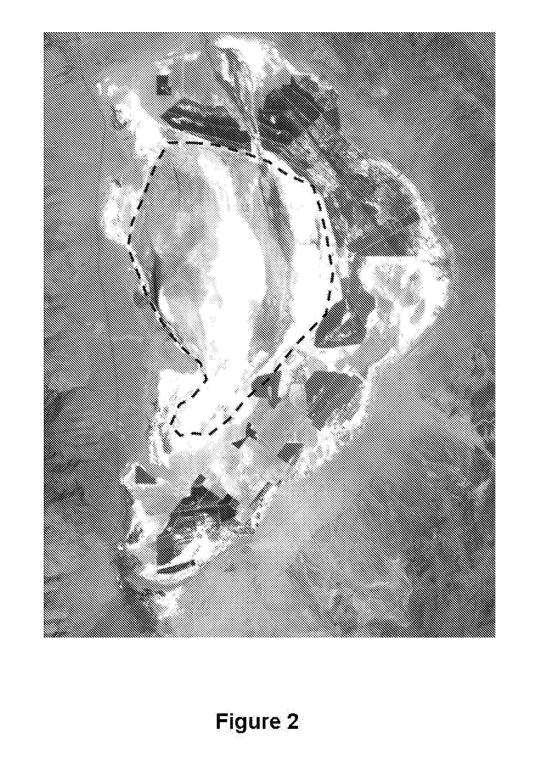 Methods for dust control on saline dry lakebeds using minimal water resources