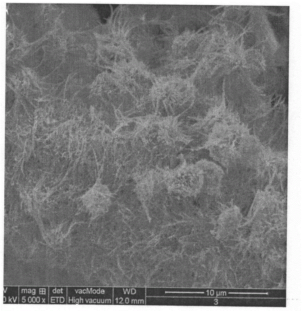 Metallic oxide nanowire coil/active carbon fiber composite electrode material and preparation thereof