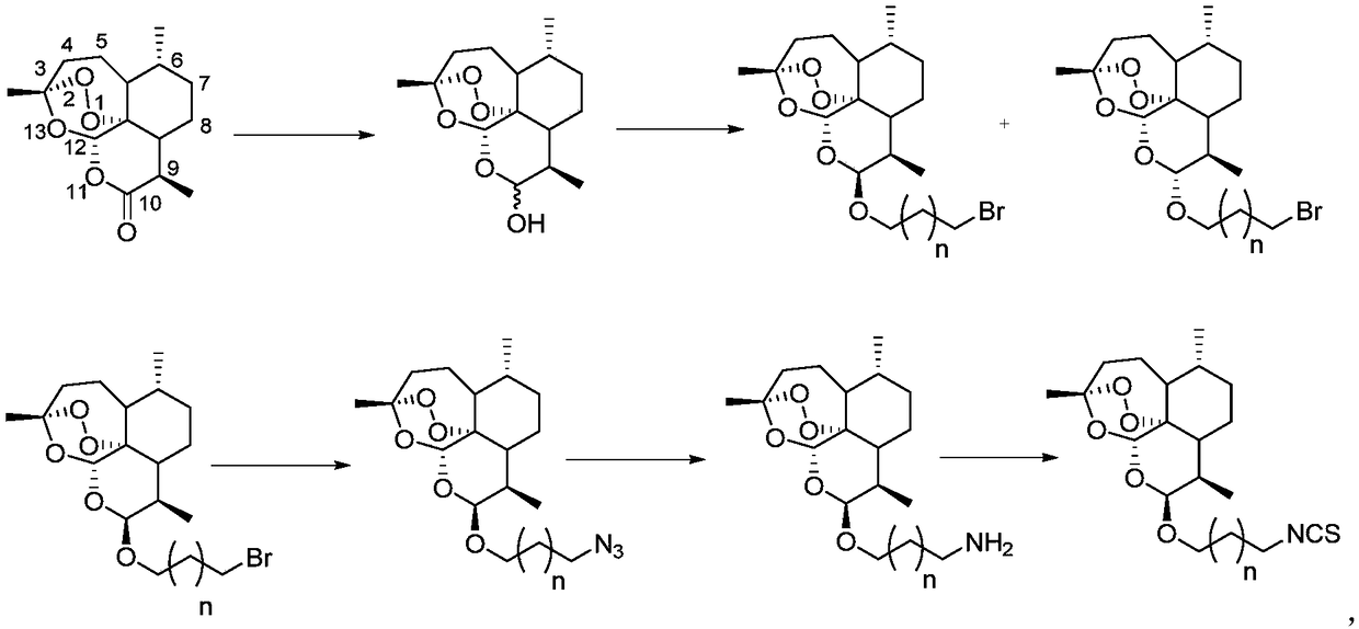 Artemisinin derivatives containing isothiocyanate group and application thereof