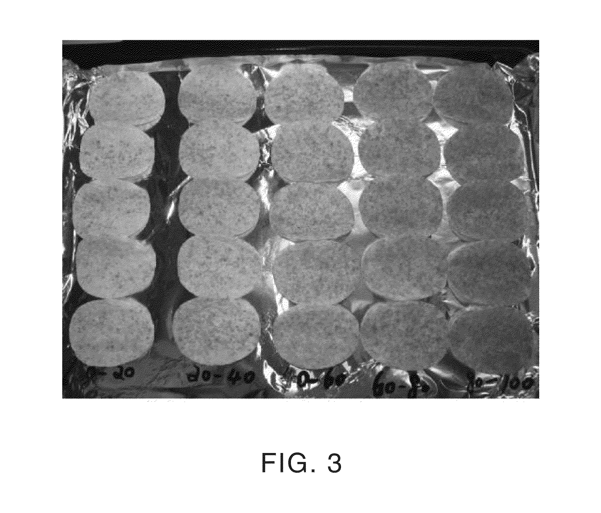 Method and kit for flavoring snacks