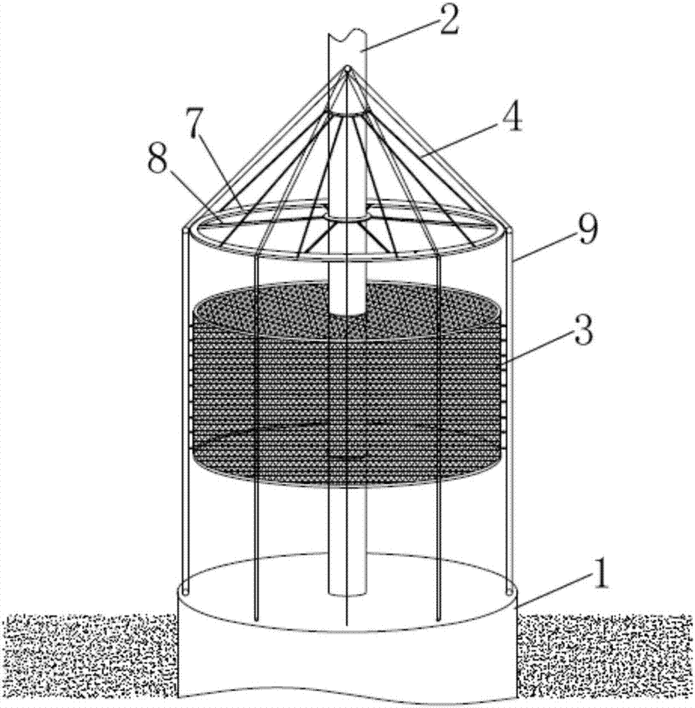 Elevated net box based on composite drum-type foundation of offshore wind turbine