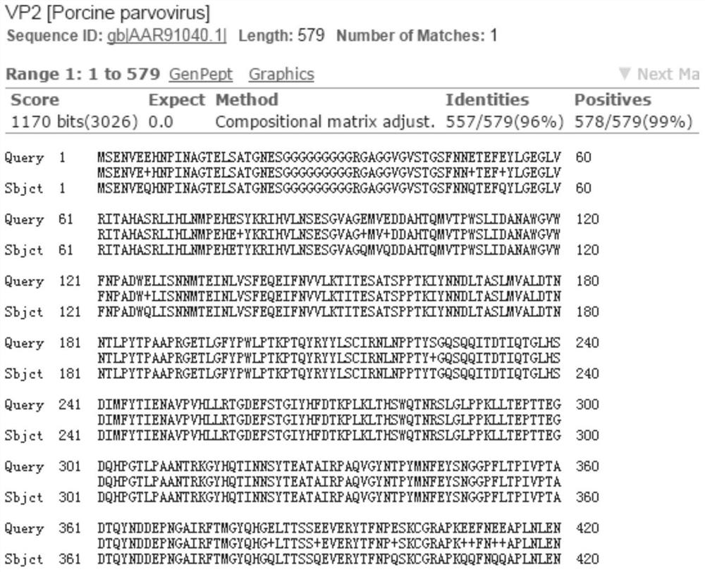 A dual inactivated vaccine against porcine parvovirus and porcine epidemic diarrhea